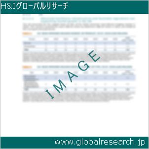 グローバルリサーチ調査レポートのイメージ